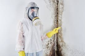 Genoa, AR Mold Prevention & Removal  Company